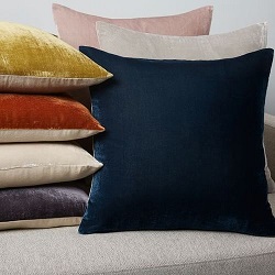 Velvet Cushion